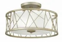 Потолочный светильник Hinkely HK-NEST-SF SL