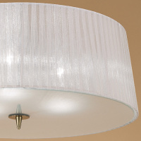 Потолочный светильник Loewe 4740