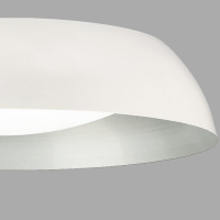Потолочный светильник Argenta 4846E